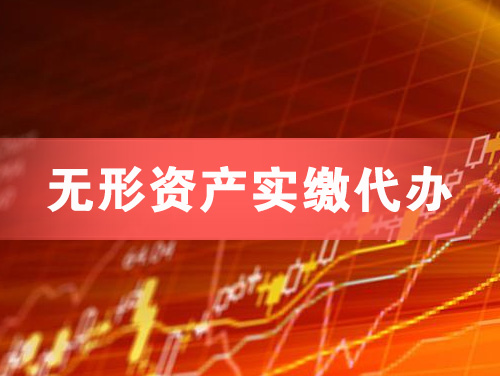 武安无形资产实缴资本代办