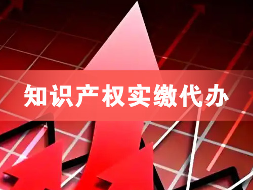 武安知识产权实缴资本代办